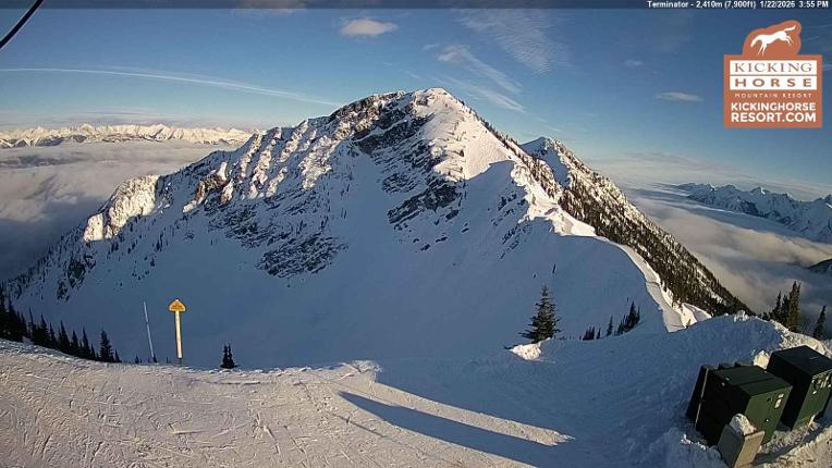 Webcam Kicking Horse: Terminator