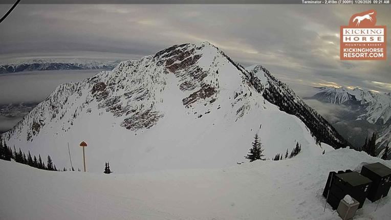 Webcam Kicking Horse: Terminator