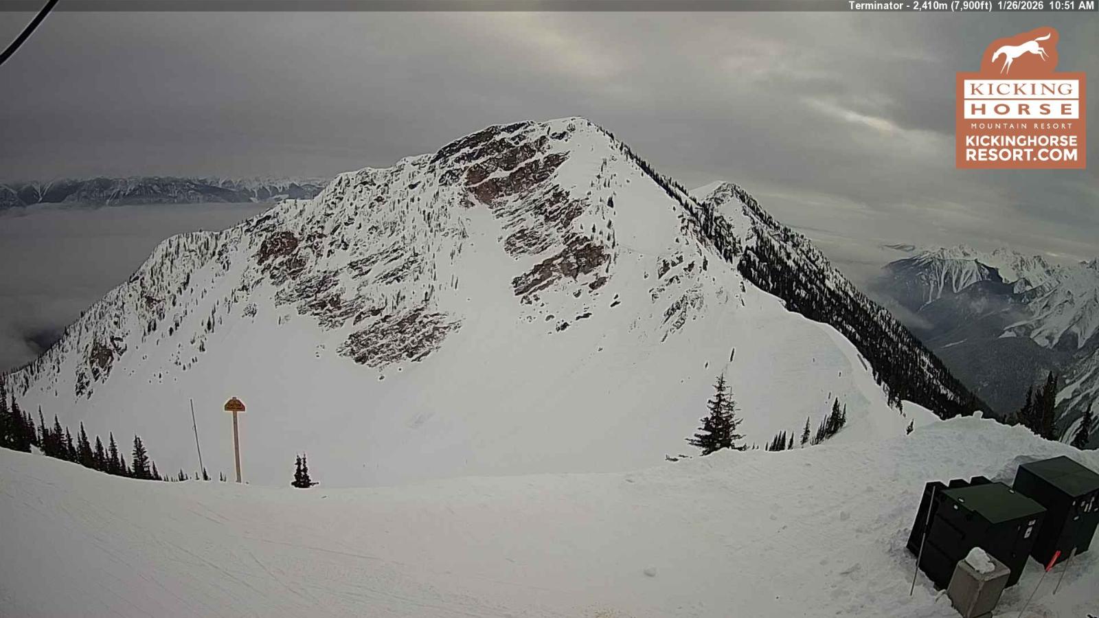 Webcam Kicking Horse: Terminator