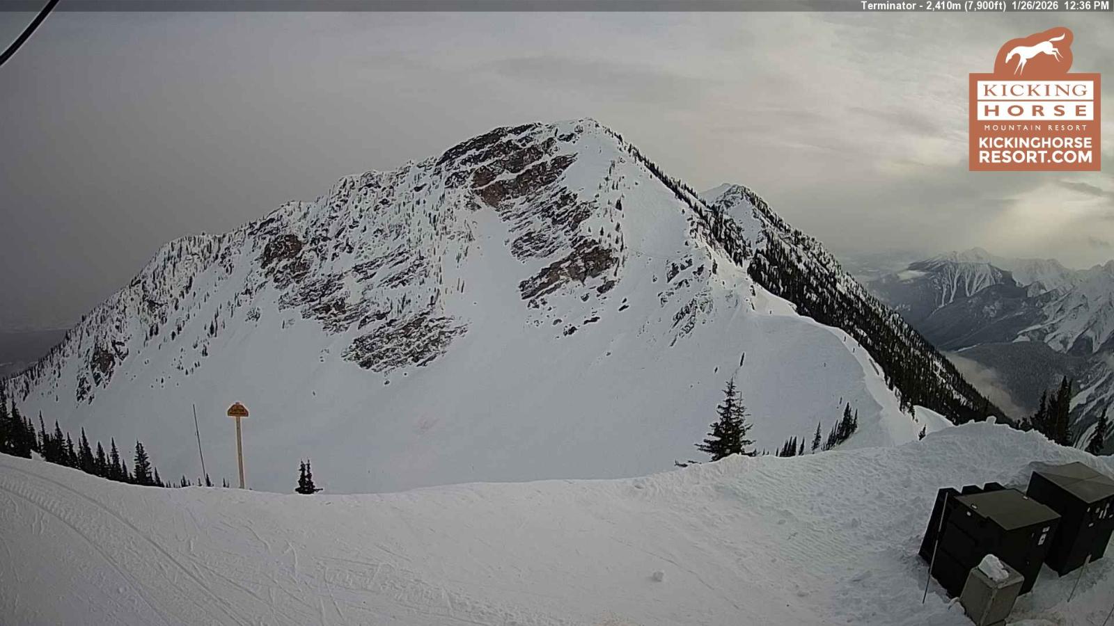 Webcam Kicking Horse: Terminator