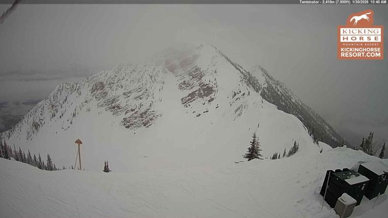 Webcam Kicking Horse: Terminator