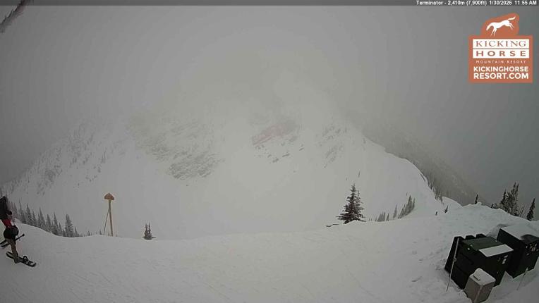 Webcam Kicking Horse: Terminator