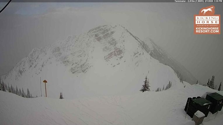 Webcam Kicking Horse: Terminator