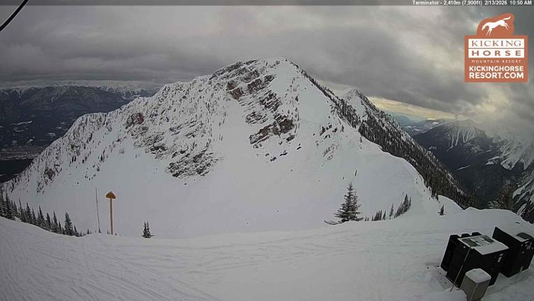 Webcam Kicking Horse: Terminator