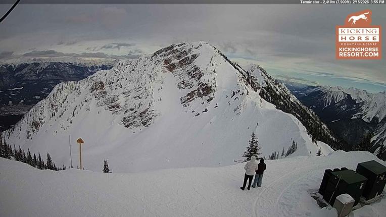 Webcam Kicking Horse: Terminator