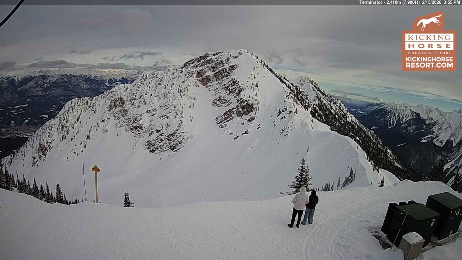 Webcam Kicking Horse: Terminator