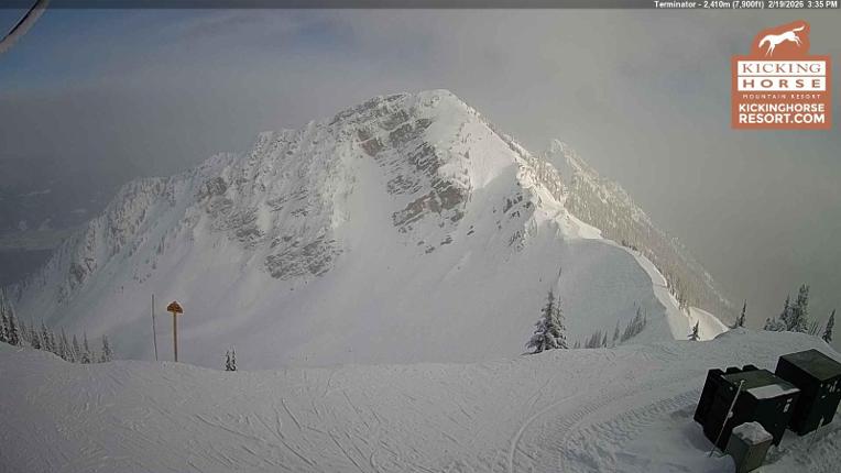 Webcam Kicking Horse: Terminator