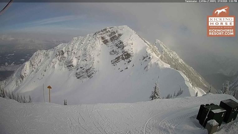 Webcam Kicking Horse: Terminator