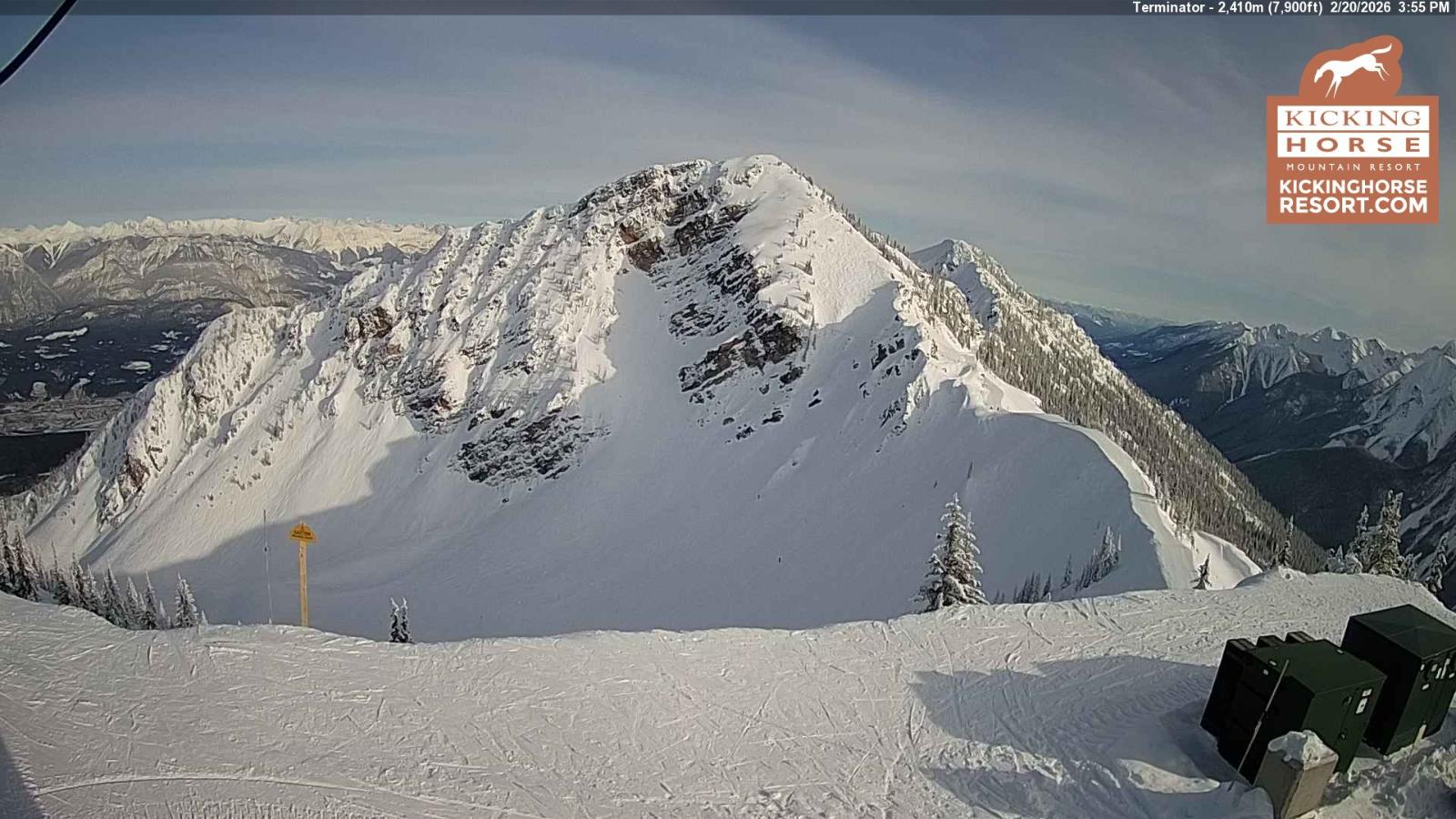 Webcam Kicking Horse: Terminator