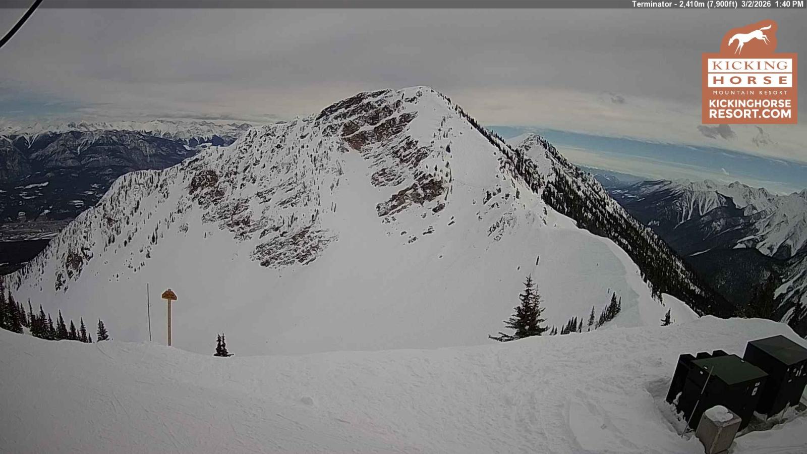 Webcam Kicking Horse: Terminator