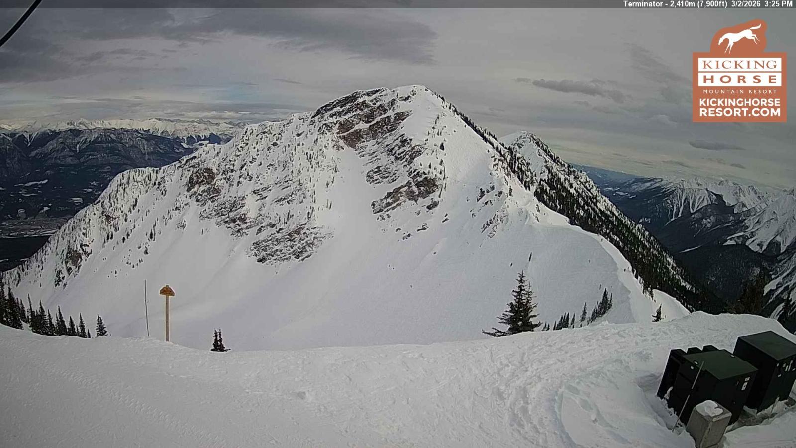 Webcam Kicking Horse: Terminator