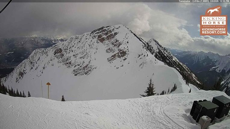 Webcam Kicking Horse: Terminator