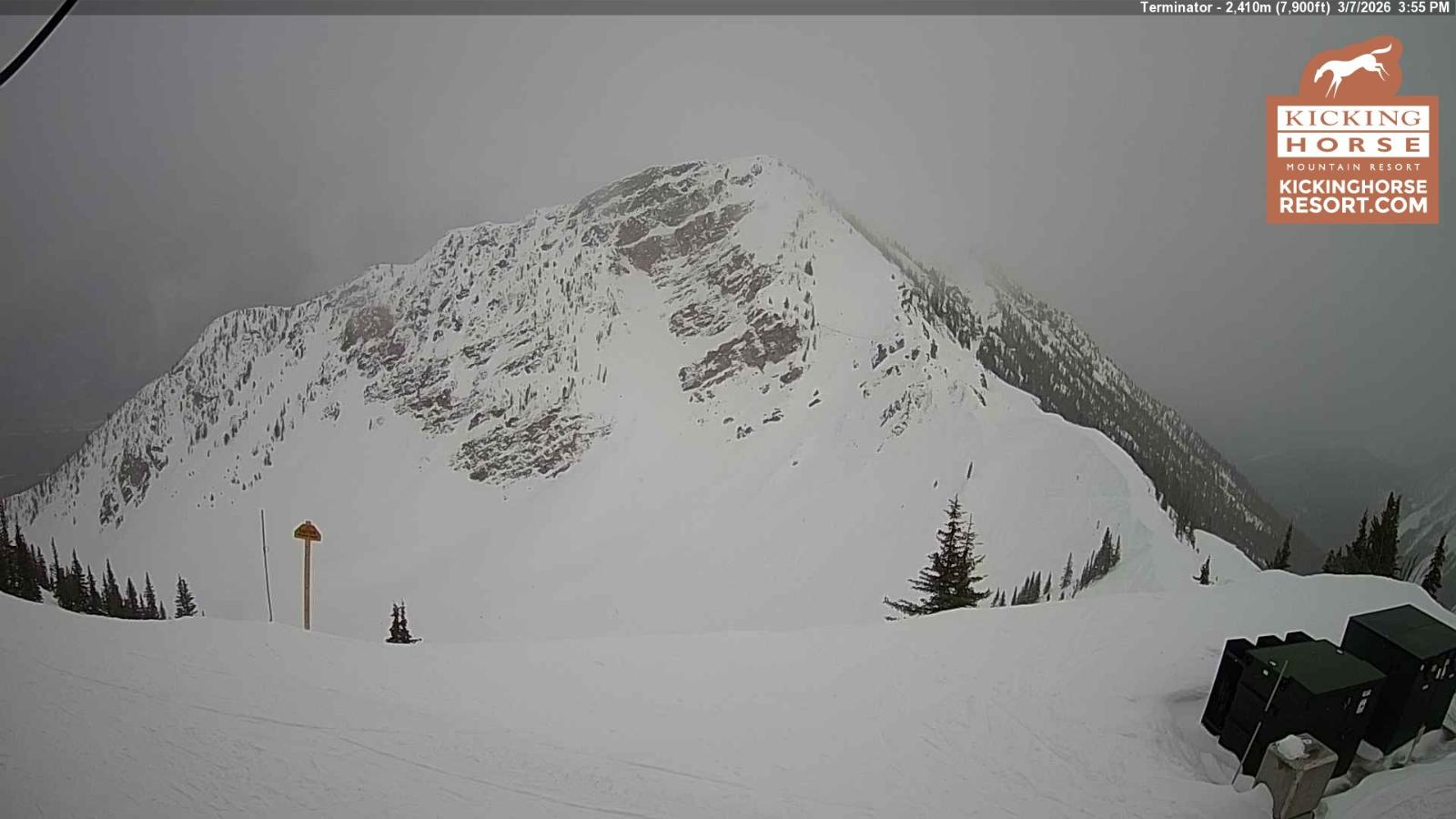 Webcam Kicking Horse: Terminator