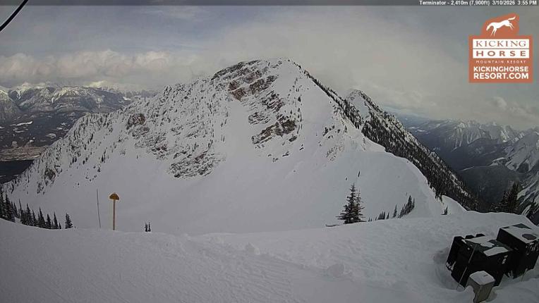 Webcam Kicking Horse: Terminator