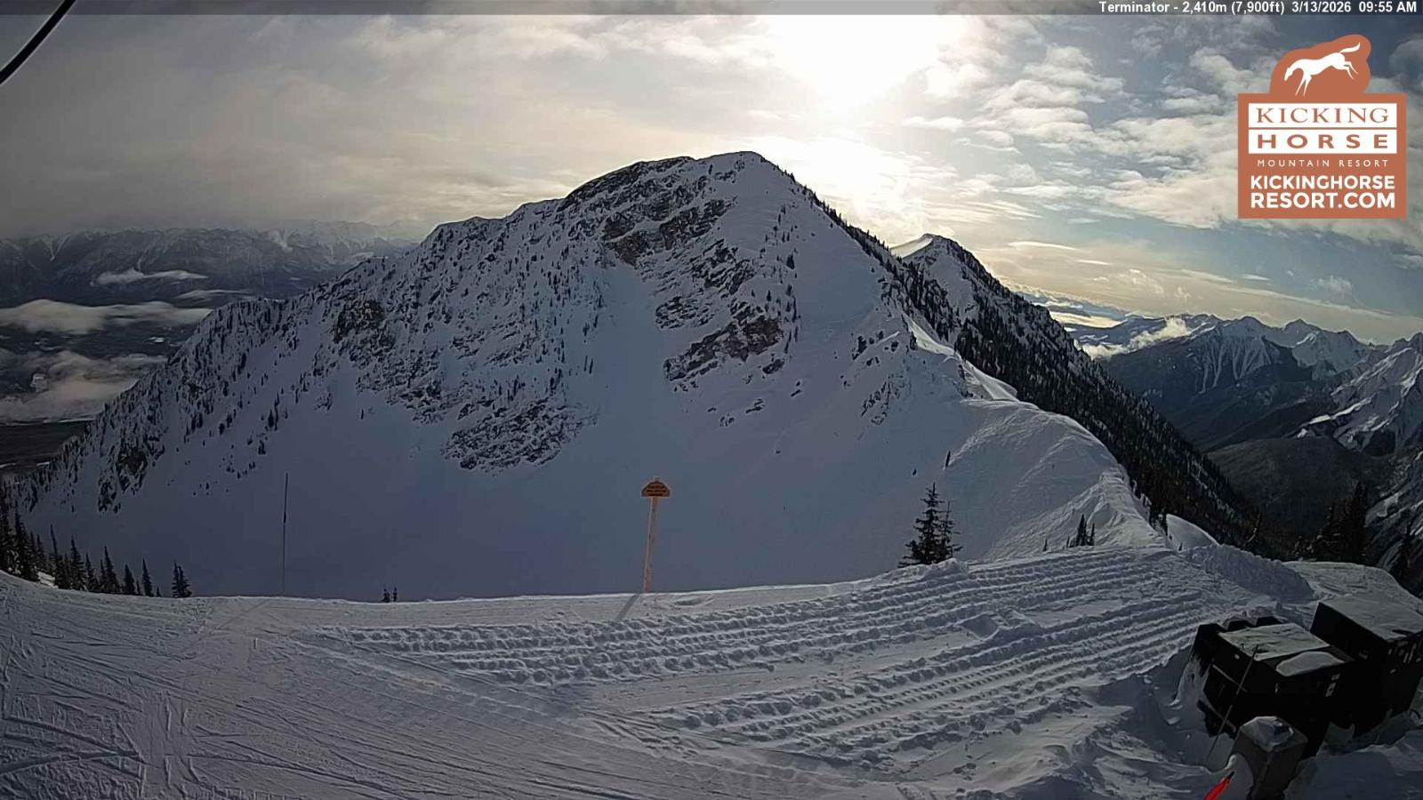 Webcam Kicking Horse: Terminator