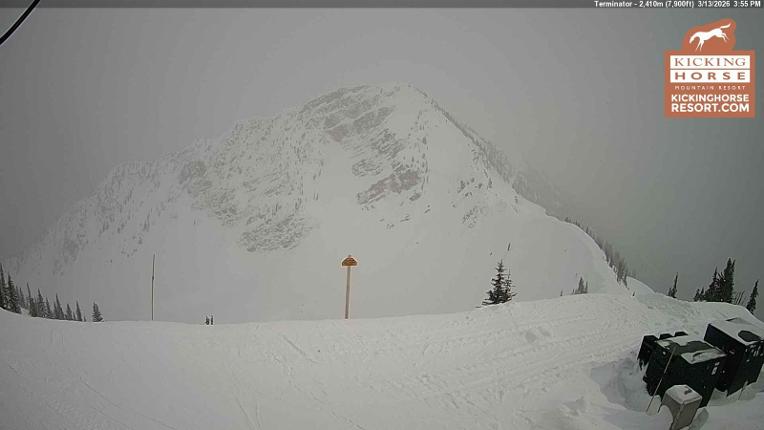 Webcam Kicking Horse: Terminator