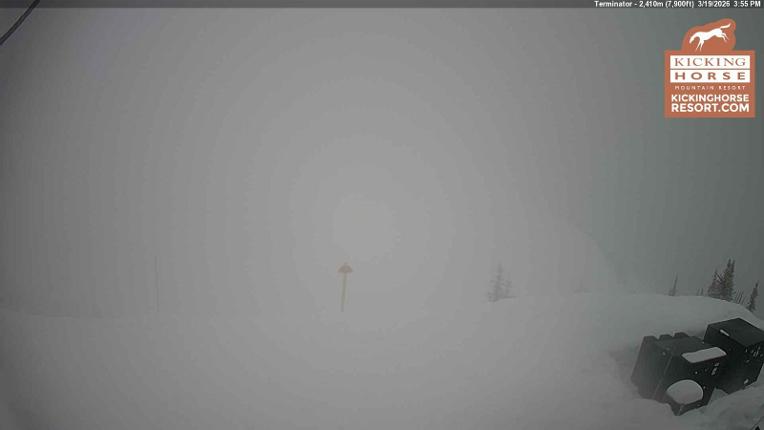 Webcam Kicking Horse: Terminator