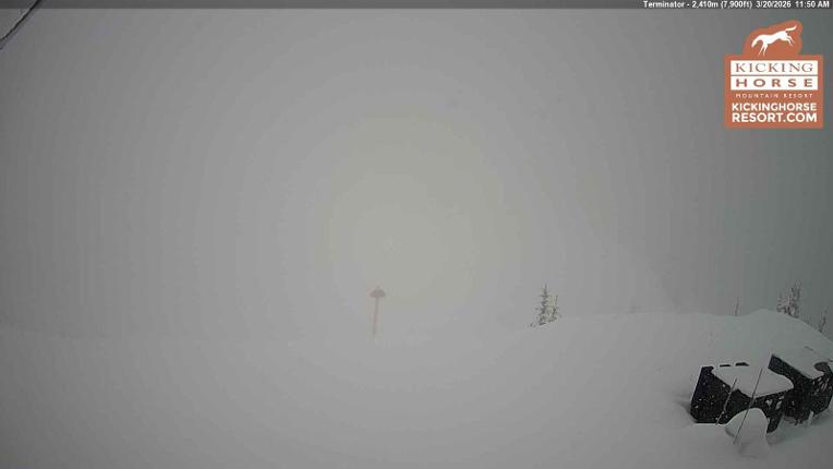 Webcam Kicking Horse: Terminator