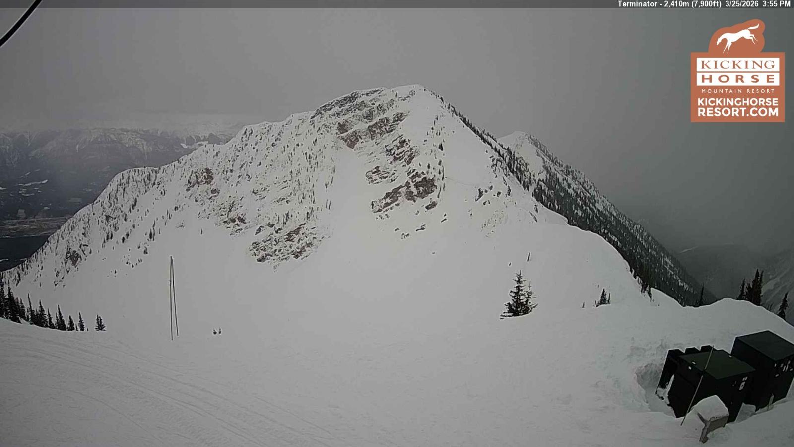 Webcam Kicking Horse: Terminator