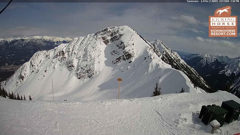 Webcam Kicking Horse: Terminator