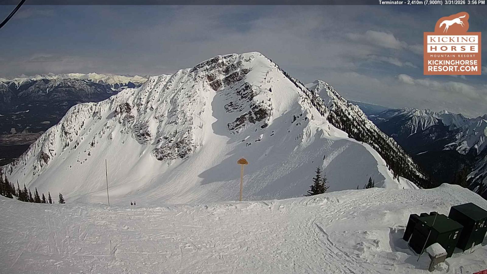 Webcam Kicking Horse: Terminator