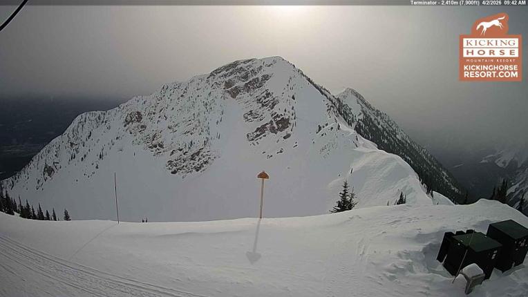 Webcam Kicking Horse: Terminator