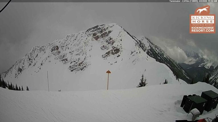 Webcam Kicking Horse: Terminator