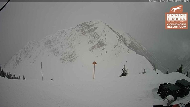 Webcam Kicking Horse: Terminator