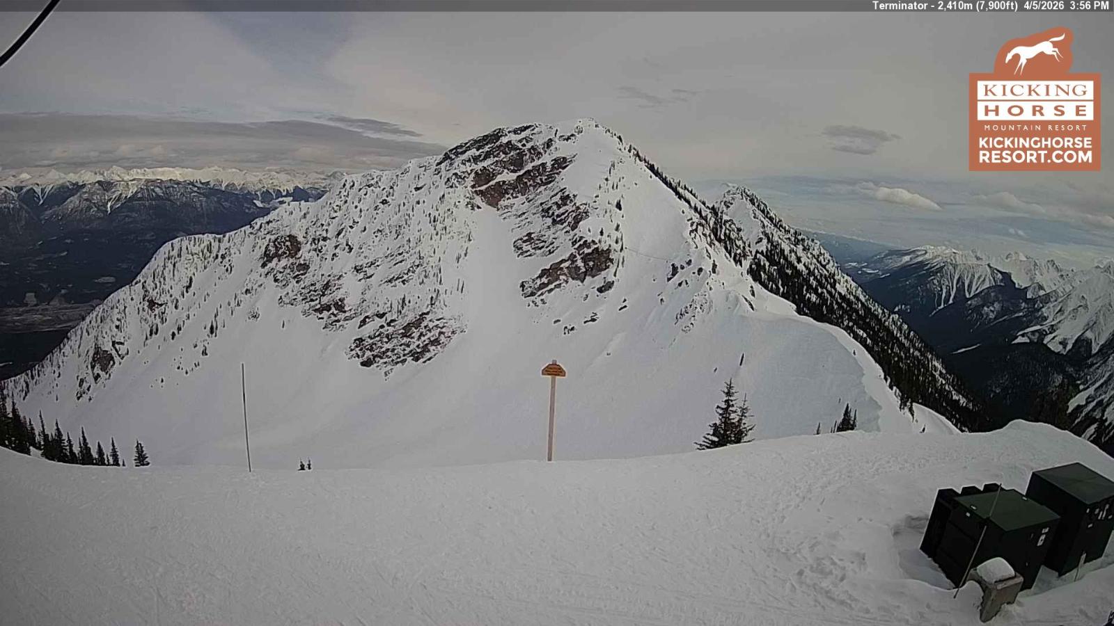 Webcam Kicking Horse: Terminator