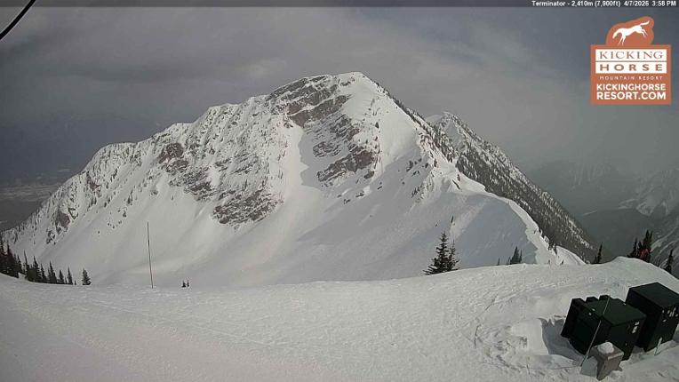 Webcam Kicking Horse: Terminator