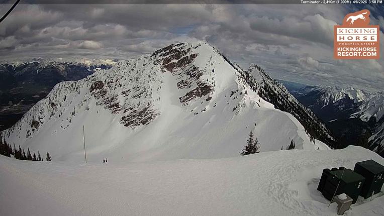 Webcam Kicking Horse: Terminator