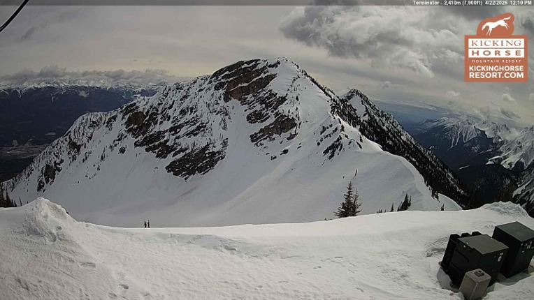 Webcam Kicking Horse: Terminator