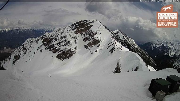 Webcam Kicking Horse: Terminator