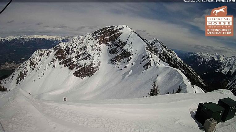 Webcam Kicking Horse: Terminator