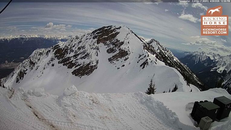 Webcam Kicking Horse: Terminator