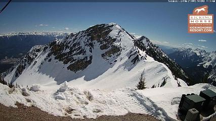 Kicking Horse: Terminator (kickinghorseresort.com)
