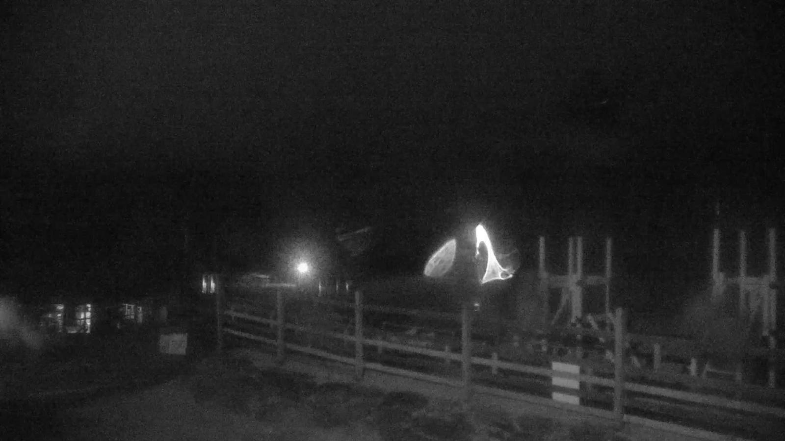 Webcam Killington: Snowshed Cam