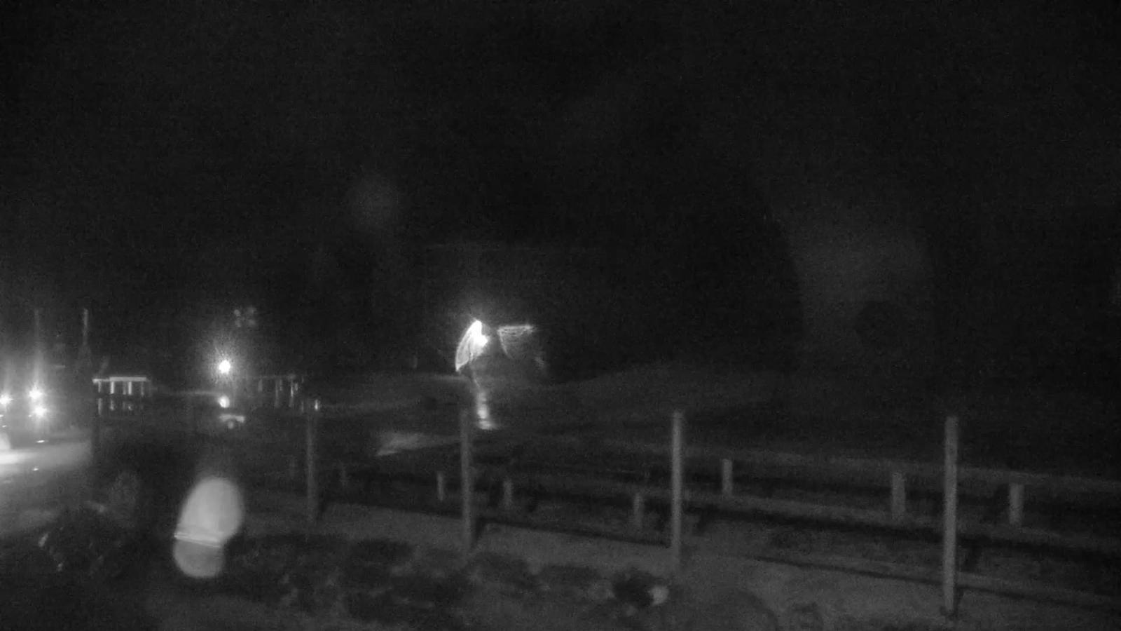Webcam Killington: Snowshed Cam