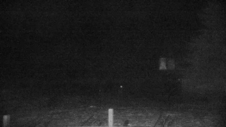 Webcam Killington: Snowshed Cam