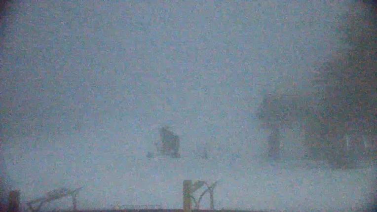 Webcam Killington: Snowshed Cam
