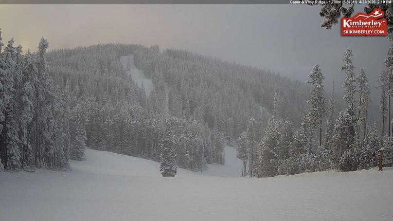 Webcam Kimberley: Top of Caper