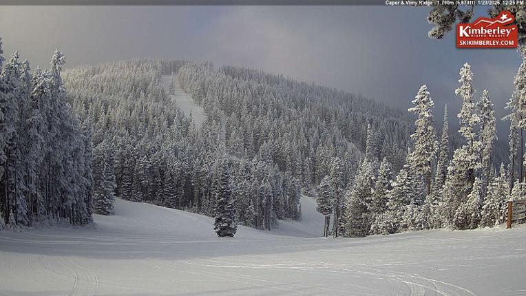 Webcam Kimberley: Top of Caper