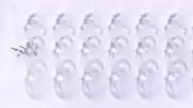 Webcam La Clusaz: Sommet de Bergerie