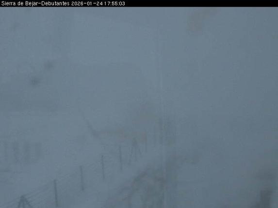 Webcam La Covatilla: Debutantes