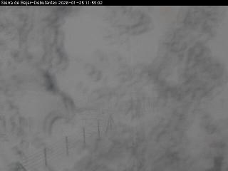 La Covatilla: Debutantes (sierradebejar-lacovatilla.com)