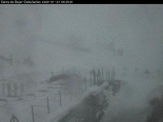 La Covatilla: Debutantes (sierradebejar-lacovatilla.com)