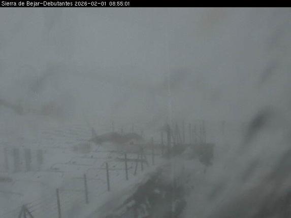 Webcam La Covatilla: Debutantes