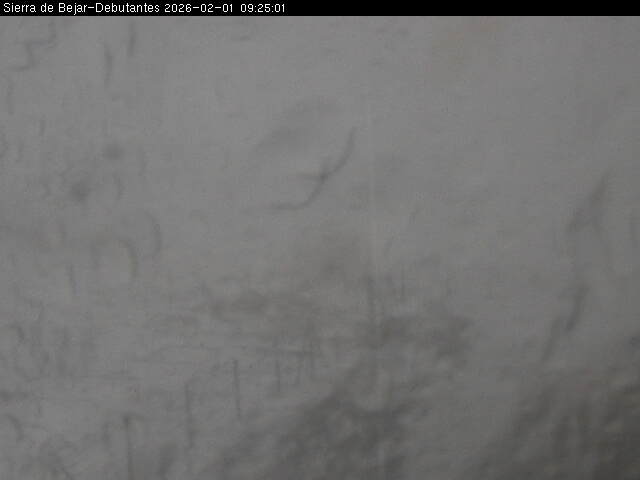 Webcam La Covatilla: Debutantes