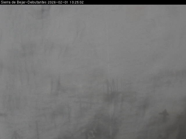 Webcam La Covatilla: Debutantes