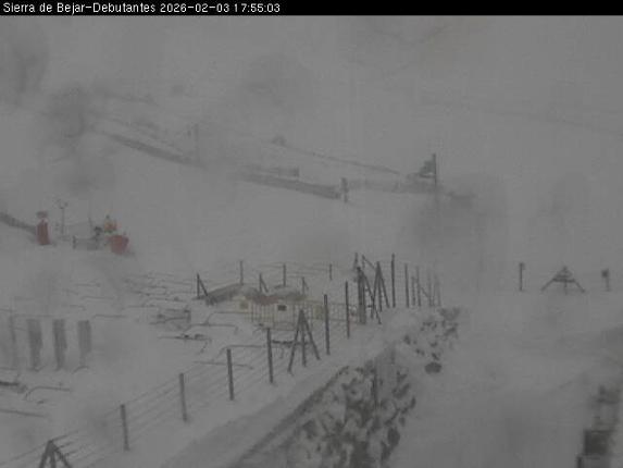 Webcam La Covatilla: Debutantes